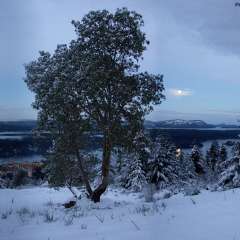 Salt Spring Island Photo Gallery 2017