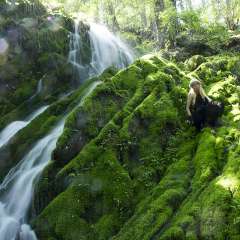 Salt Spring Web Design Intro Image