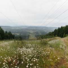 hiking on Salt Spring Island