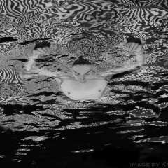 The Fulford Reflections - Salt Spring Island