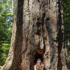 image by Kmax © 2018