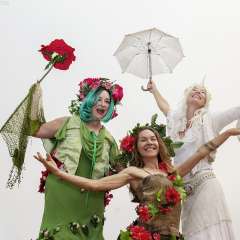 Unicorns and wood nymphs