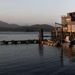 Tofino, Panorama 2018