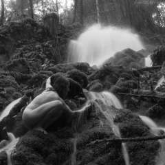 Jenny Butterfly - photo by Saltspring Photography