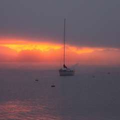 Ganges Harbour, Salt Spring Island, BC