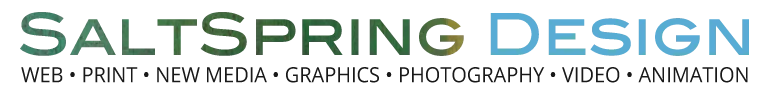 Salt Spring Design Logo